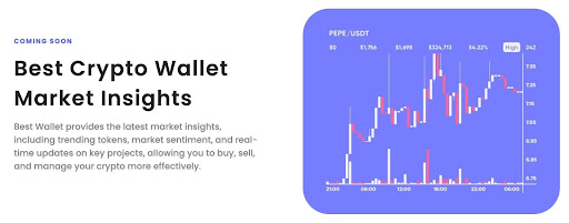 Best wallet market insights